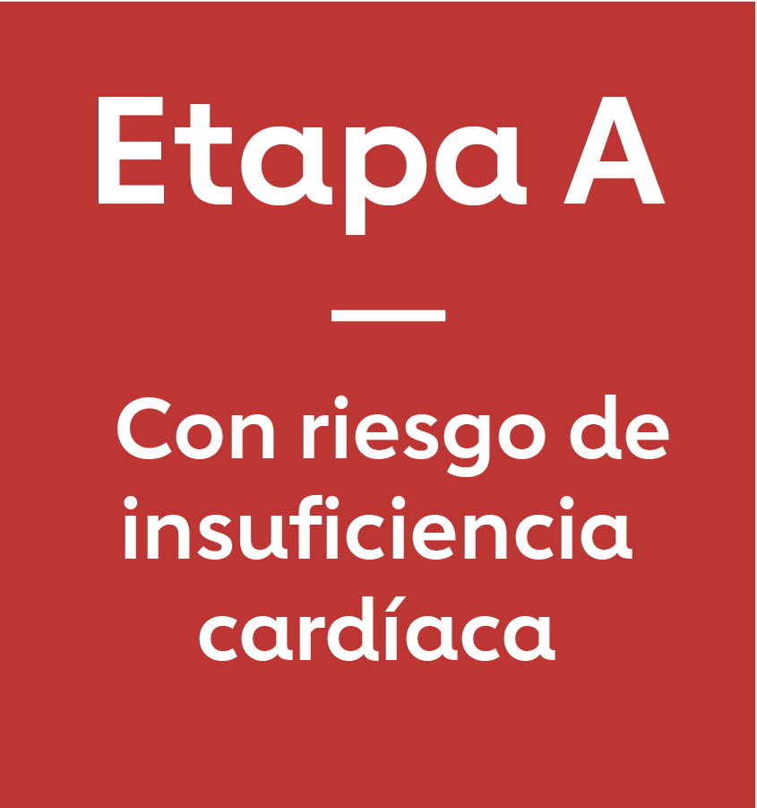 Etapa A: Con riesgo de insuficiencia cardíaca 