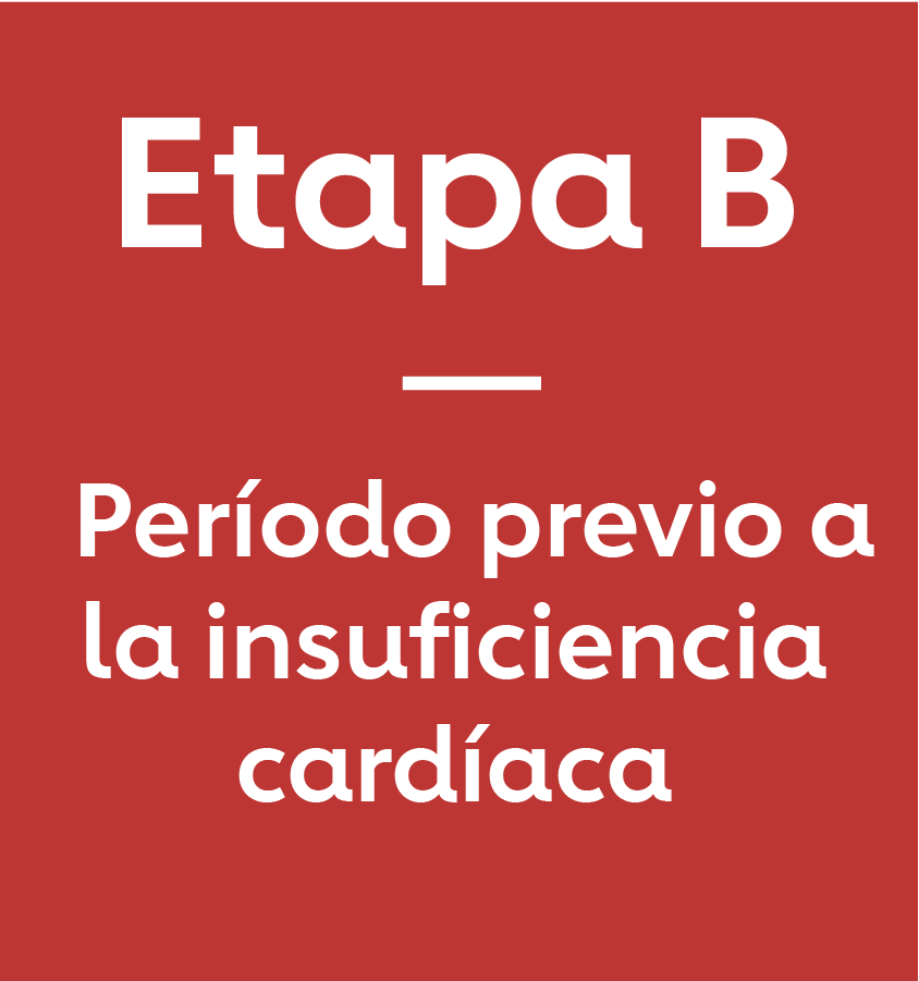 Etapa B: Período previo a la insuficiencia cardíaca