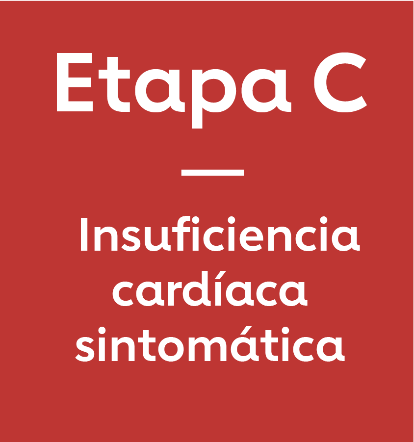 Etapa C: Insuficiencia cardíaca sintomática
