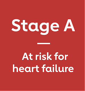 Stage A: At risk for heart failure