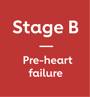 Stage B: Pre-heart failure