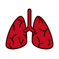 lungs icon