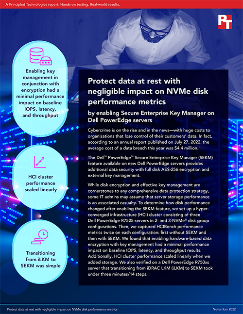 Protect data at rest with negligible impact on NVMe disk performance metrics